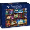 Puzzle Library Adventures in Reading
