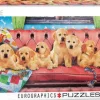 Puzzle Lounging Labs