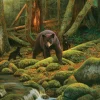 Puzzle Mãe Natureza