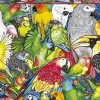 Puzzle Papagaios