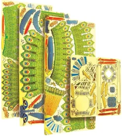 Puzzle Peacock 3D