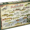Puzzle Peixes de água doce da América do Norte