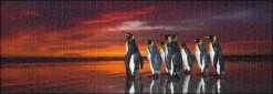 Puzzle Pinguins da Patagônia