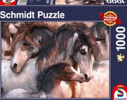 Puzzle Pinto-sol