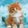 Puzzle Pintura diamantada: Gatinho ruivo sobre fundo azul 30x40 cm