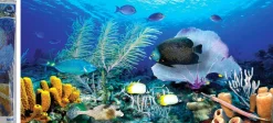Puzzle Pintura diamantada: Oceano 80x40 cm