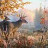 Puzzle Pintura diamantada: Veado na névoa da manhã 30x40 cm