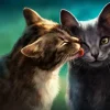 Puzzle Pintura Diamant: Amor de gato 30x40cm