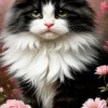 Puzzle Pintura Diamant: Gato preto e branco 30x40cm