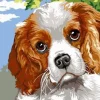 Puzzle Pintura diamant: Olhos de cão 30x40cm