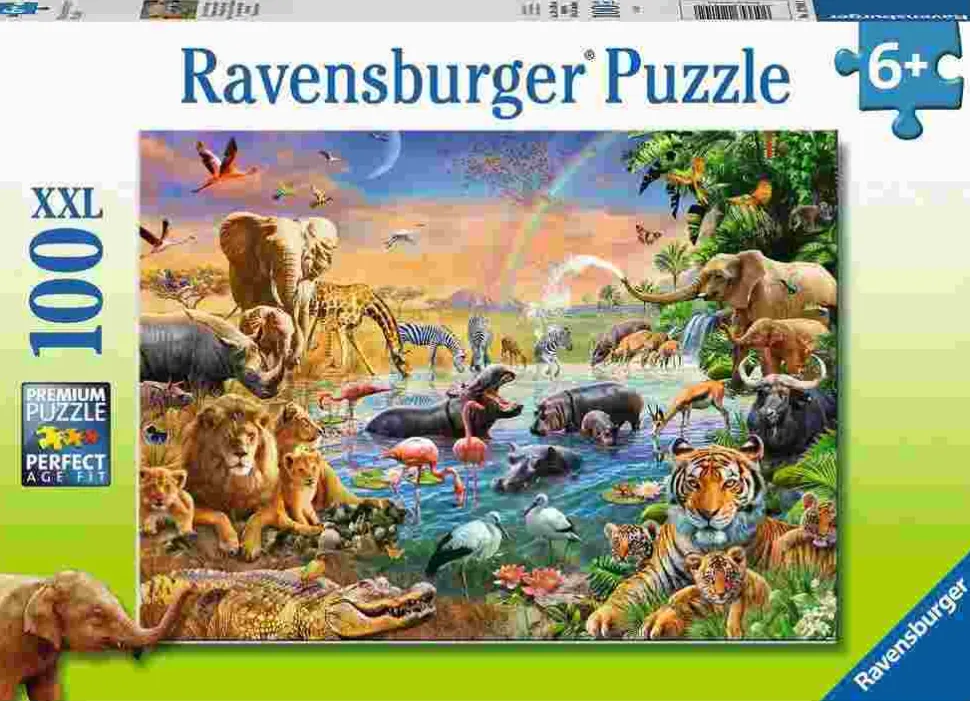 Puzzle Poço de água