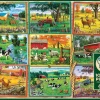 Puzzle Postais da Quinta