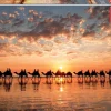 Puzzle Pôr do sol dourado em Cable Beach, Austrália