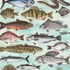 Puzzle Premium Plus Finders Keepers: Peixe