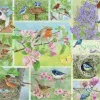 Puzzle Pássaros de jardim na primavera