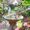 Puzzle Pássaros de verão