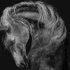 Puzzle Rader: Cavalo