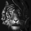 Puzzle Rader: Tigre