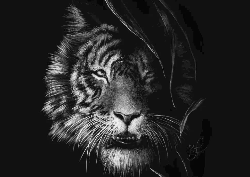 Puzzle Rader: Tigre