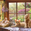 Puzzle Raio de sol