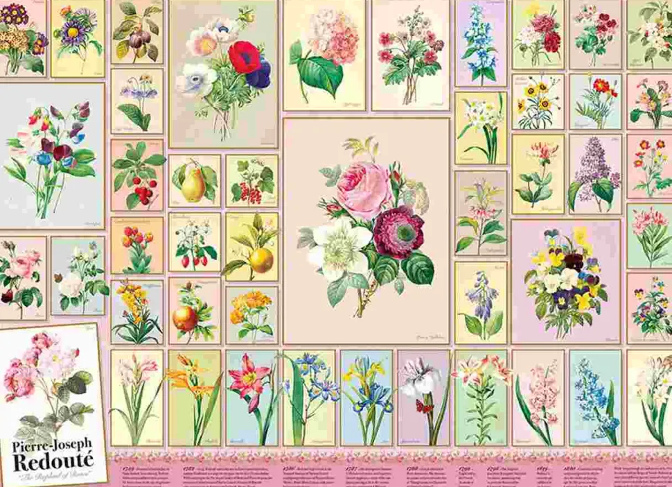Puzzle Rede