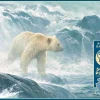 Puzzle Relógio Salmão - Spirit Bear
