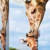 Puzzle Salve o Planeta - Girafa