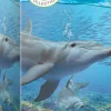 Puzzle Salve o Planeta - Golfinhos