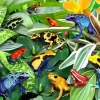 Puzzle Sapos divertidos