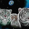 Puzzle Schim Schimmel: Gentle Family
