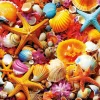 Puzzle Shell Collage