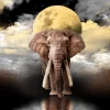 Puzzle Sonhos de elefante