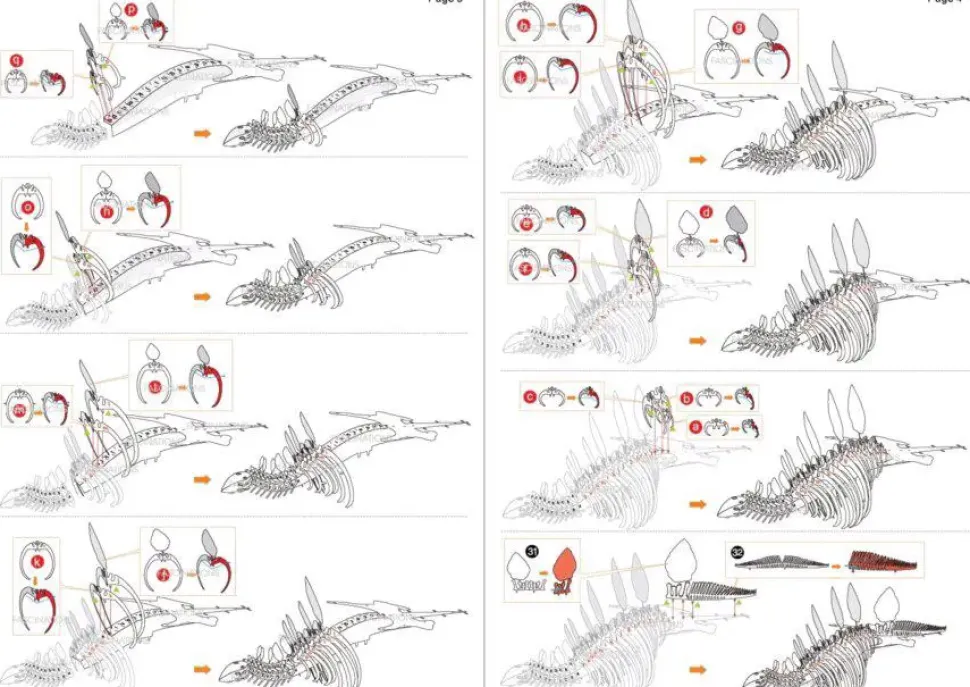 Puzzle Stegosaurus 3D