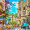 Puzzle Tarde de Notre Dame