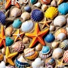 Puzzle Tesouro da praia