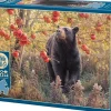 Puzzle The Dreams