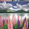 Puzzle Tremoços nas margens do Lago Sils, Suíça
