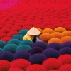 Puzzle Vietnam