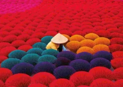 Puzzle Vietnam