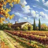 Puzzle Vinha pintada
