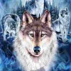 Puzzle Wolf Team