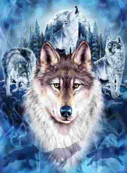 Puzzle Wolf Team
