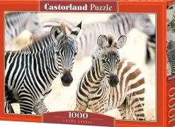 Puzzle Zebras jovens